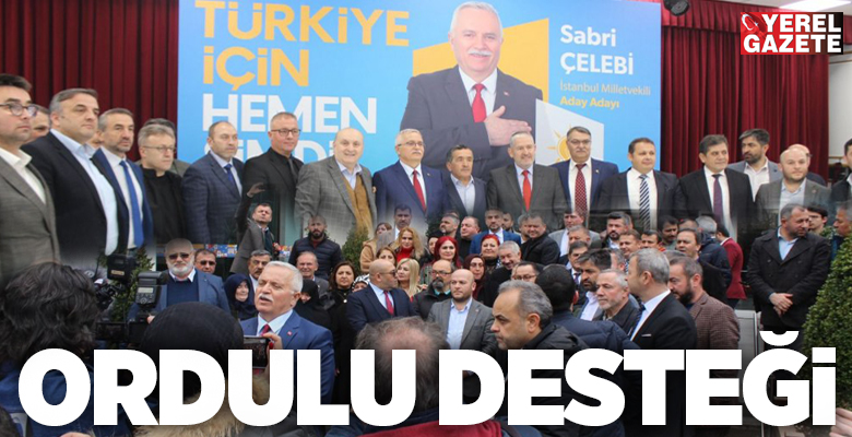 Ordu Dernekler Federasyonu Başkanı Sabri Çelebi, 28. Dönem AK Parti