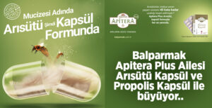 Balparmak Apitera Plus Ailesi Arısütü Kapsül ve Propolis Kapsül ile büyüyor..