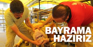 İBB, Kurban Bayramı için hazırlıklarını tamamladı. Avrupa ve Anadolu yakasındaki