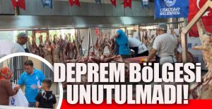 Üsküdar Belediyesi 2500 koyundan oluşan rekor kurban kesimiyle 50 ton