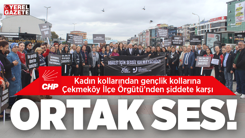 Son günlerde iyice artan şiddet olaylarına karşı basın açıklaması yapan