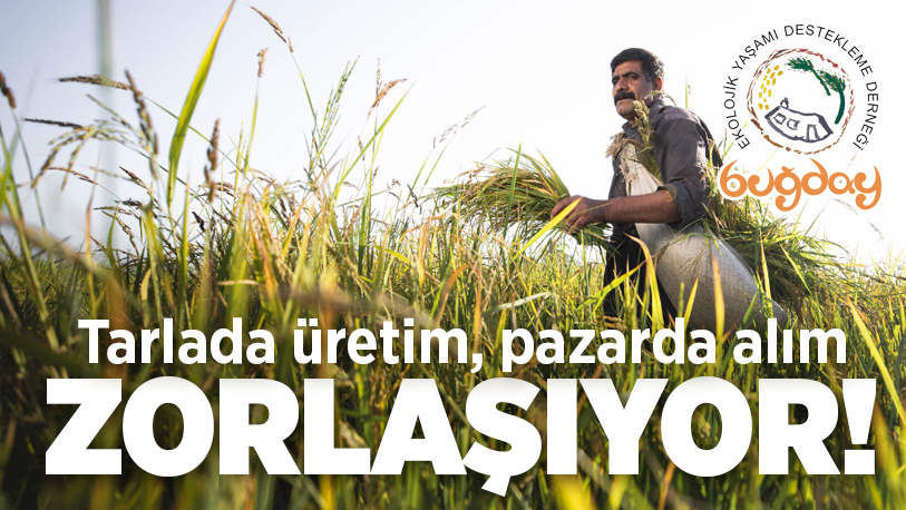 İklim krizi ve artan maliyetler nedeniyle tarımsal üretimde kriz giderek