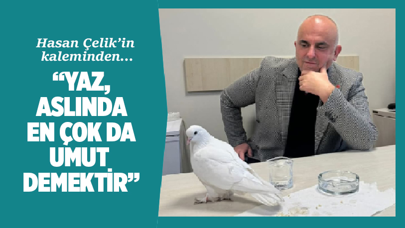 Yaz, bizim coğrafyada sadece bir mevsim değildir. Bir hafıza, bir