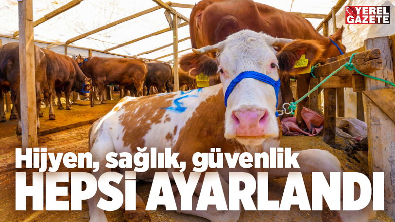 Ümraniye Belediyesi, yaklaşan Kurban Bayramı öncesinde vatandaşlarımızın bayramı huzur ve