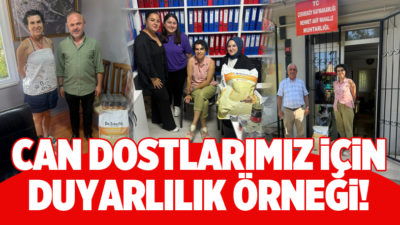 Yoğun kar yağışlı ve soğuk kış günlerinde olduğu gibi yazın