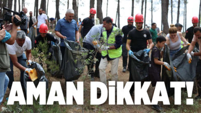 Ülke genelinde artan orman yangınları sonrasında risklere karşı önlem alan