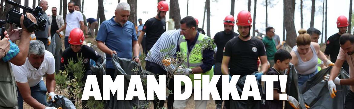 Ülke genelinde artan orman yangınları