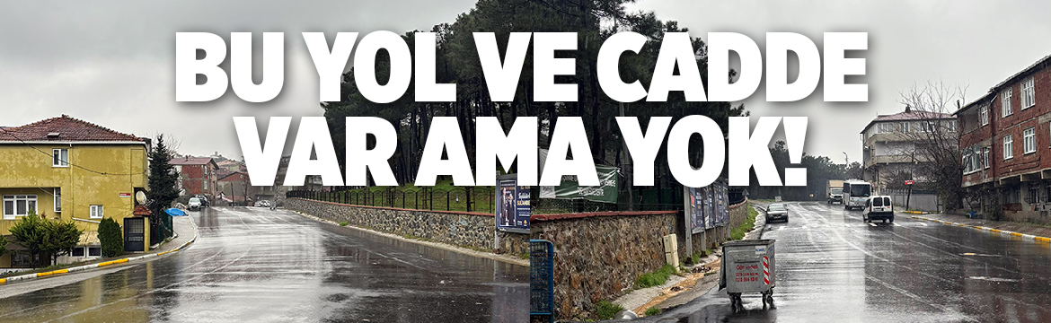 Sultanbeyli Hasan Paşa Mahallesi, Necip