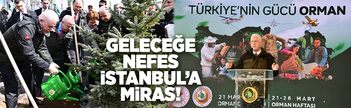 ​21 Mart Dünya Ormancılık Günü