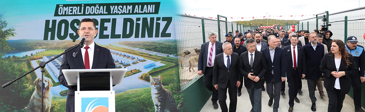 Çekmeköy’de sokak hayvanları için örnek