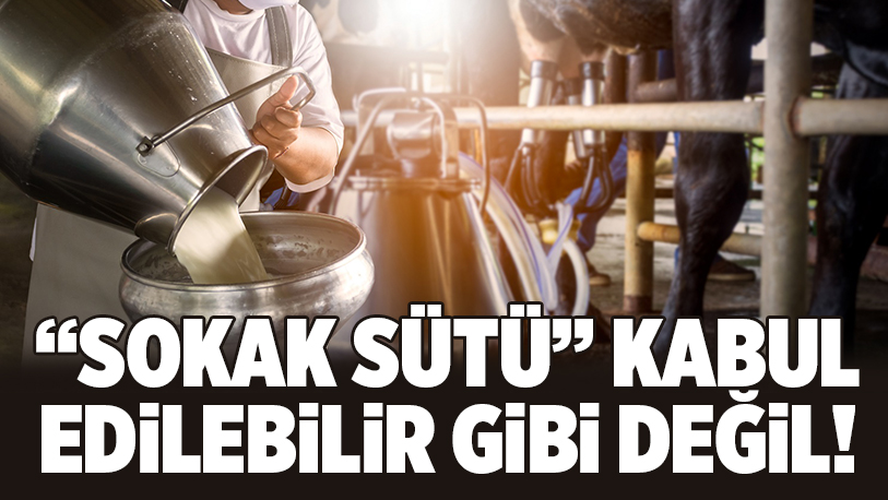 1 Haziran Dünya Süt Günü nedeniyle açıklama yapan uzmanlar tüketicileri