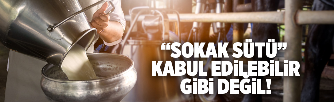 1 Haziran Dünya Süt Günü