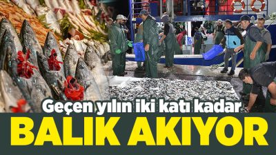 İstanbul Büyükşehir Belediyesi (İBB) iştiraki İstanbul Yönetim Yenileme AŞ (İSYÖN)