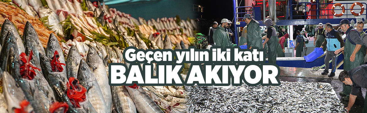 İstanbul Büyükşehir Belediyesi (İBB) iştiraki